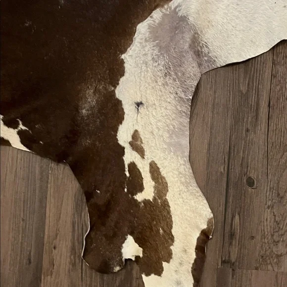 Authentic Cowhide Rug in Brown, Black, and White - Picture 2 of 8